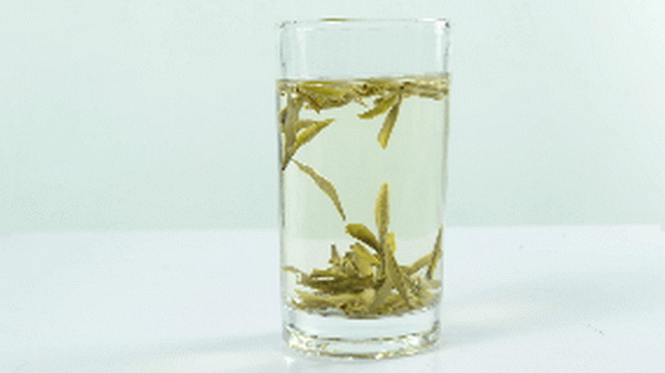 茶花雞價格揭秘一只多少錢
