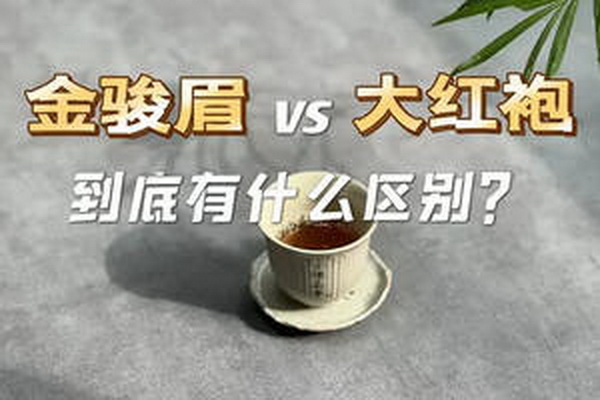 茶顏悅色直營店合作指南