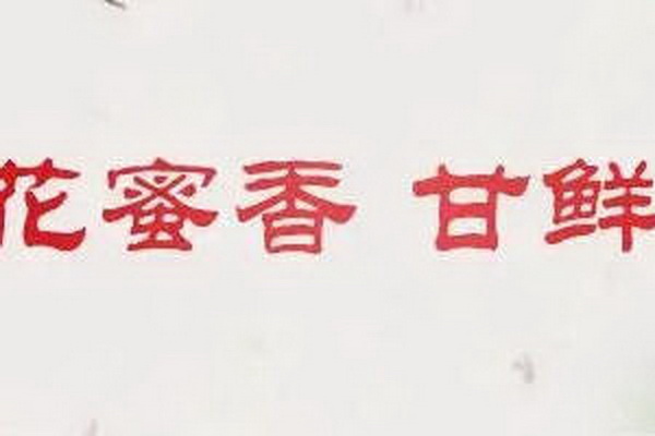 矮腳茶提神活力的健康飲品 矮腳茶提神活力的健康飲品