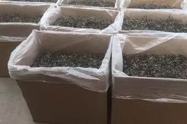 茶葉等級(jí)劃分品質(zhì)之門徑鑒賞之良師