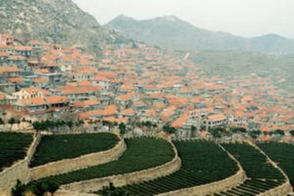 茶葉蛋視頻大全學(xué)會(huì)正確做法 茶葉蛋視頻大全學(xué)會(huì)正確做法