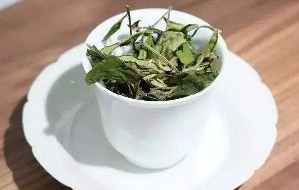 白茶十大名茶排名揭曉誰(shuí)登頂榜首