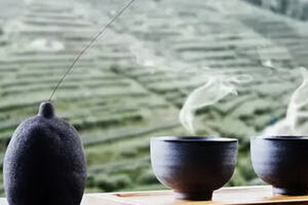茶多酚豐富的綠茶品種及功效解析