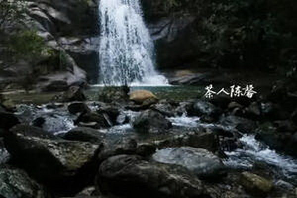 茶品牌logo設(shè)計(jì)全攻略
