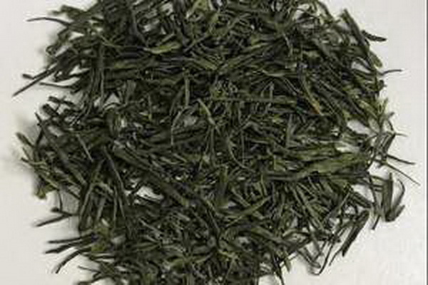 茶花養(yǎng)成攻略打造矮壯茶花的秘訣