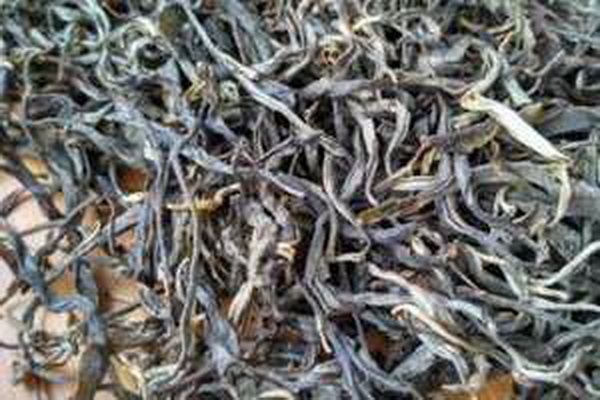 芭比粉水仙喜茶新品賞花般美味