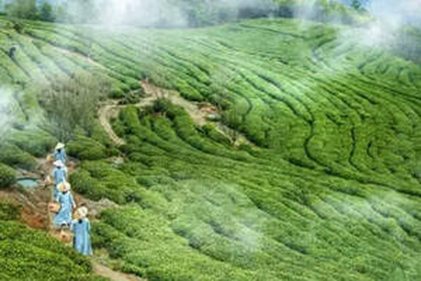 茶壺蓋發(fā)型適合圓臉的完美選擇 茶壺蓋發(fā)型適合圓臉的完美選擇