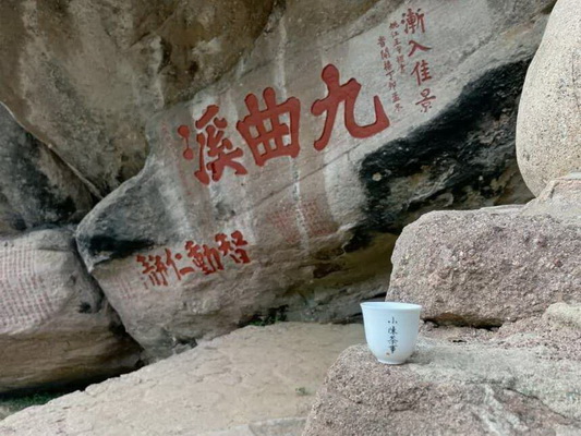 品味代的六堡茶文化與歷史