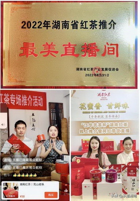 品味傳承三鶴六堡茶魅力無限