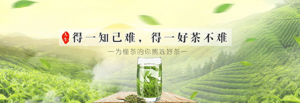 品味傳統(tǒng)之美大紅袍茶的完美泡法