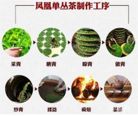 品味傳統(tǒng)之美探索毛尖茶魅力