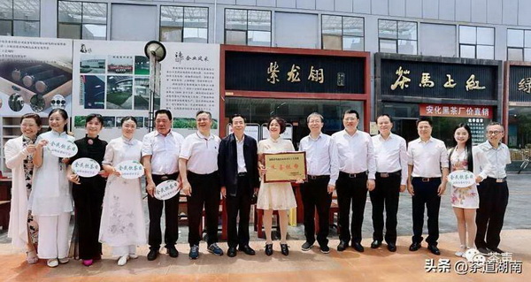 壽眉白茶價格走勢及影響因素分析