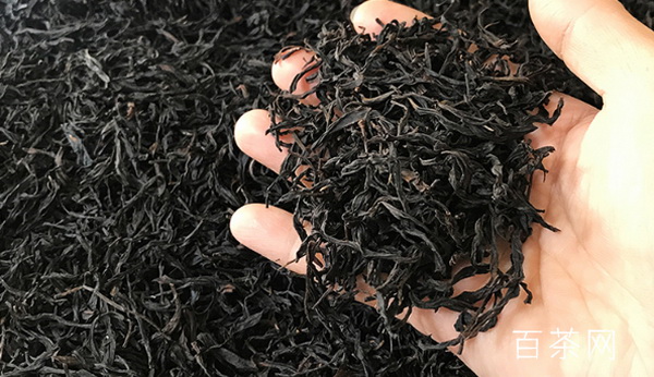 壽眉白茶的熱涼性解析 壽眉白茶的熱涼性解析