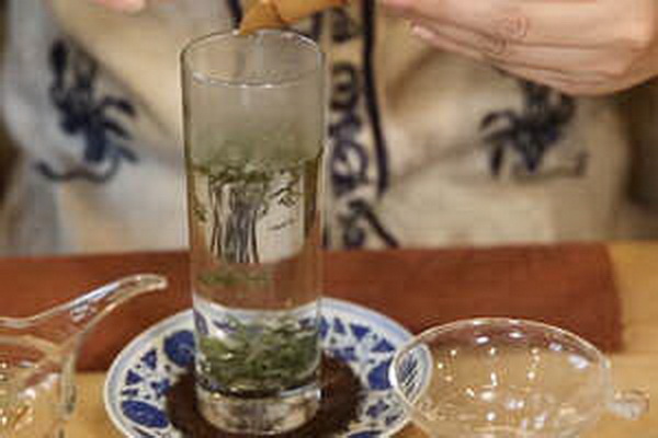 小葉苦丁茶探秘這種神奇植物的功效與制作方法