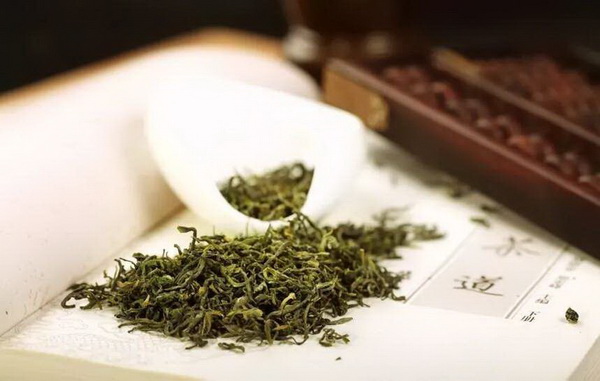小葉茶花迷人的中國(guó)花卉之王