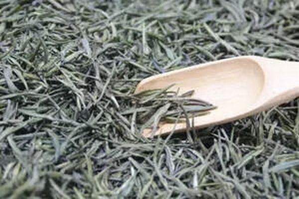 探尋白茶之鄉(xiāng)哪里是最好的產(chǎn)地