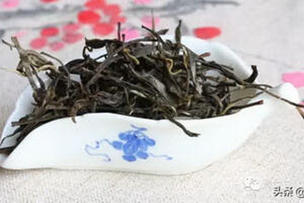 探尋白茶品種白牡丹白毫銀針等